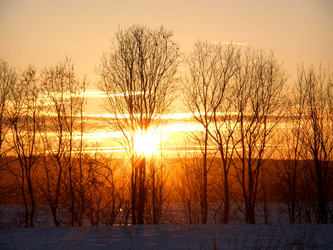 Similar image 1163003