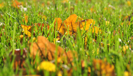 Similar image 1163005