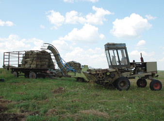 Similar image 1163045