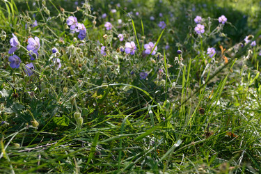 Similar image 1163061