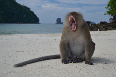 Similar image 1163064