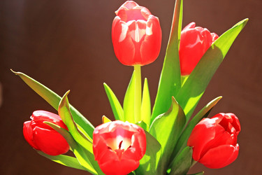 Similar image 1163086