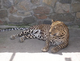 Similar image 1163101