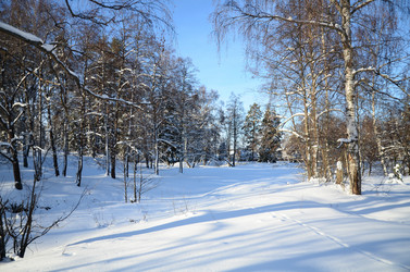 Similar image 1163104