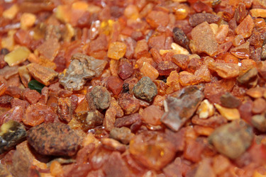 Similar image 1163106