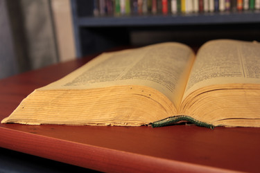 Similar image 1163117