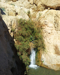 Similar image 1163127