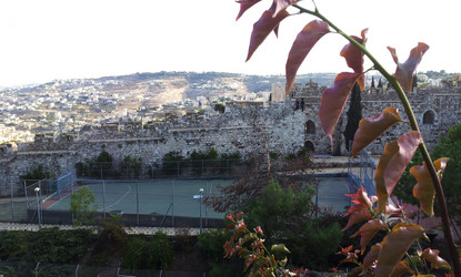 Similar image 1163133