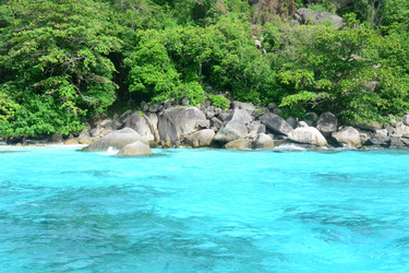 Similar image 1163140