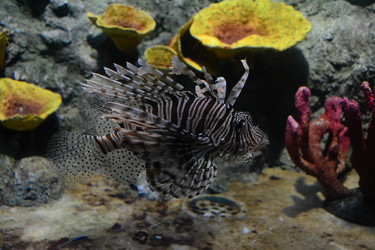 Similar image 1163143