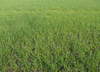 Similar image 1163155