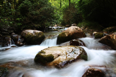 Similar image 1163164