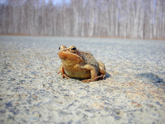 Similar image 1163182