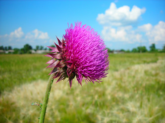 Similar image 1163183