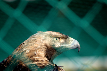 Similar image 1163184