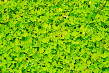 Similar image 1163191