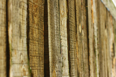 Similar image 1163225