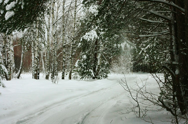 Similar image 1163227