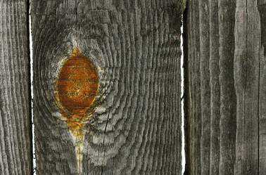 Similar image 1163237