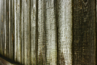 Similar image 1163242