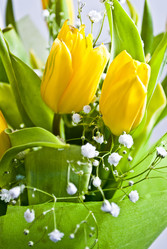 Similar image 1163394