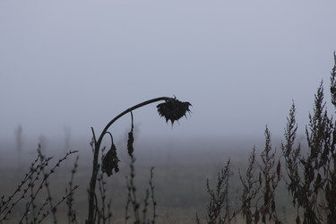 Similar image 1163404