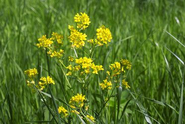 Similar image 1163425