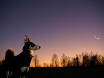 Similar image 1163436