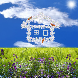 Similar image 1163445