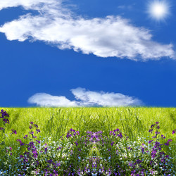 Similar image 1163447