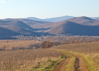 Similar image 1163528