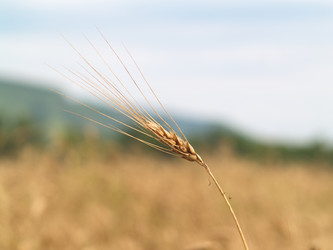 Similar image 1163530