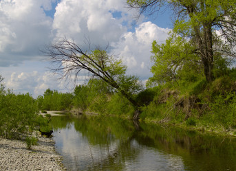 Similar image 1163534