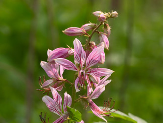 Similar image 1163537