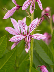 Similar image 1163544