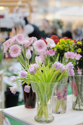 Similar image 1163593