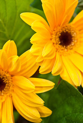 Similar image 1163596