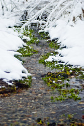 Similar image 1163600