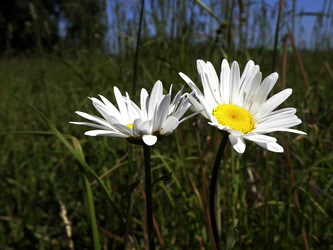 Similar image 1163601