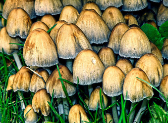 Similar image 1163602