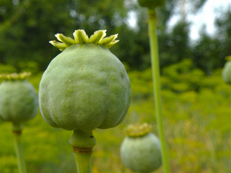 Similar image 1163603