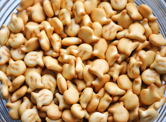 Similar image 1163611