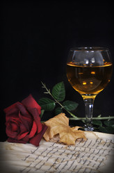 Similar image 1163626