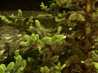 Similar image 1163681