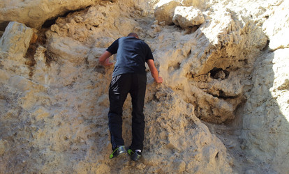 Similar image 1163684