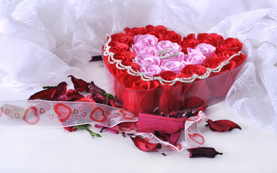 Similar image 1163693