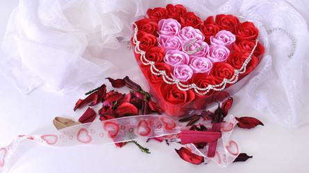 Similar image 1163704