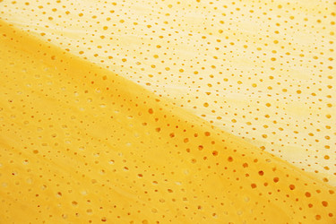 Similar image 1163847