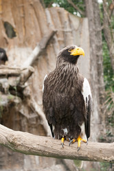 Similar image 1163851