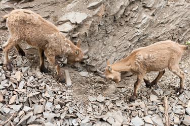 Similar image 1163854